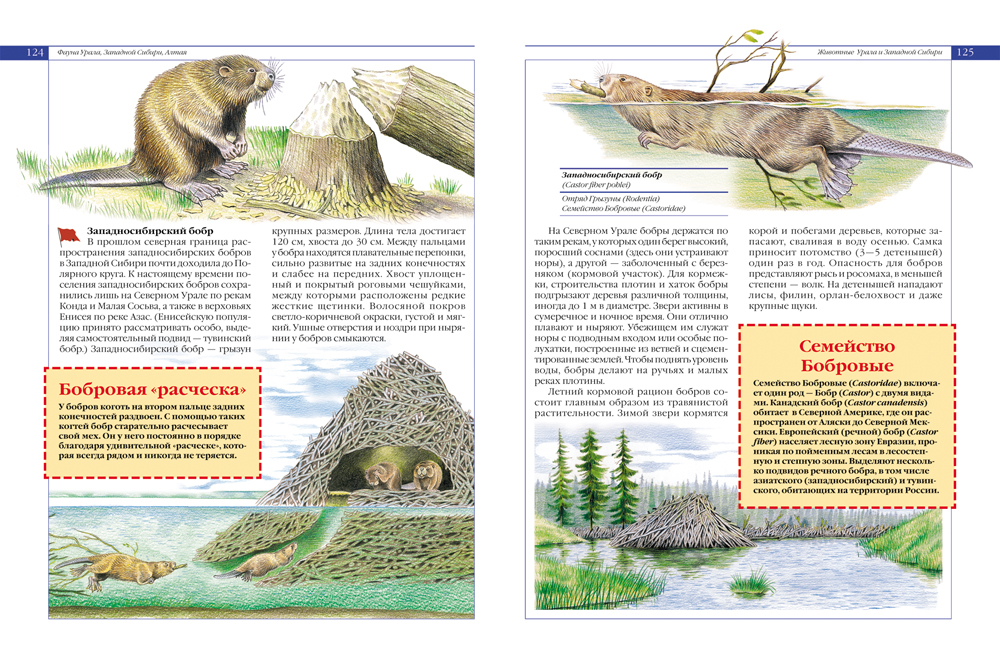 Красная книга России – Животные  